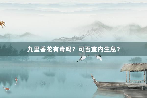 九里香花有毒吗？可否室内生息？